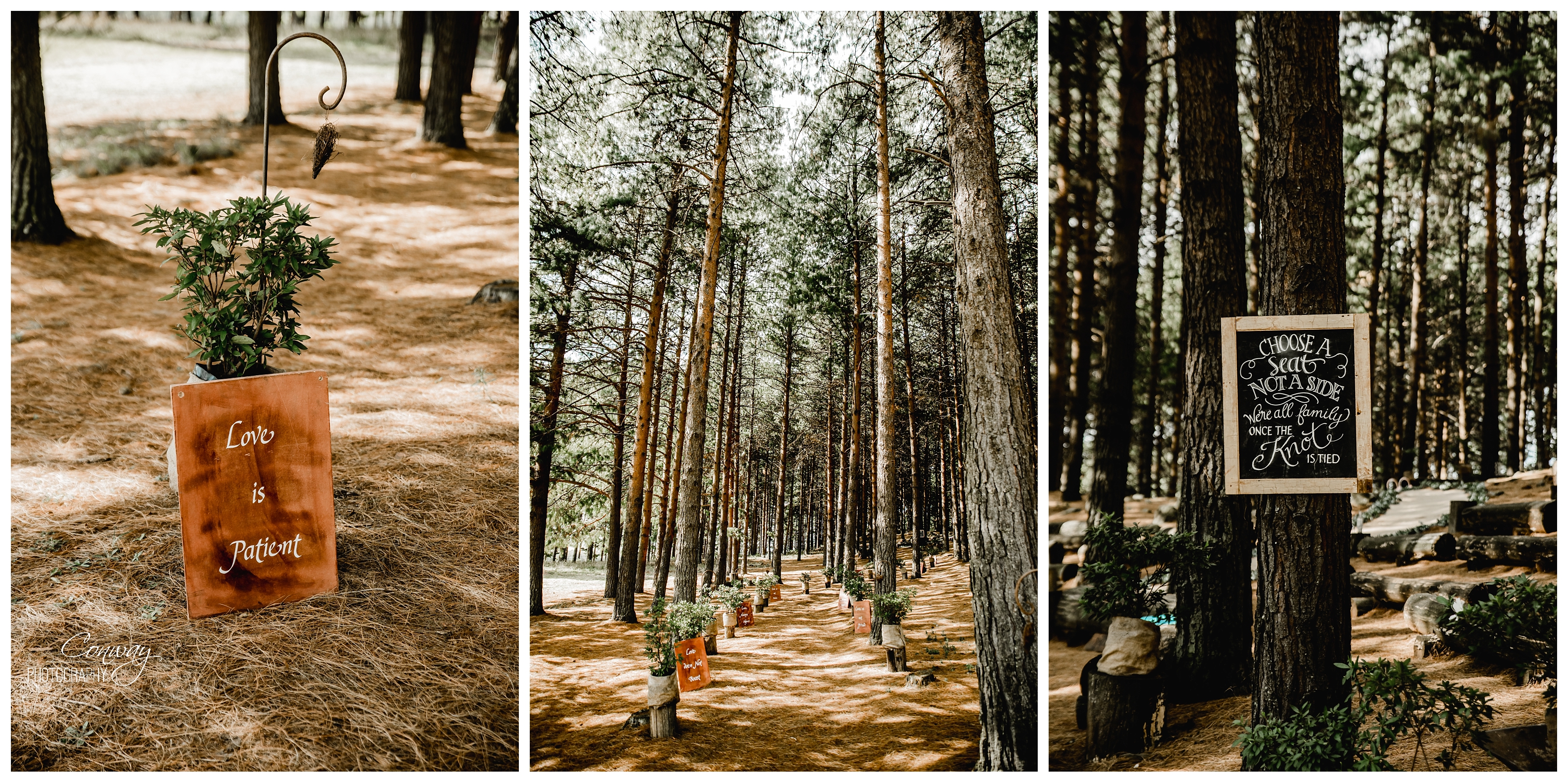 2019-06-20_0001.jpg Bellwood Cottages wedding KZN Midlands, Gilah and Linton 022
