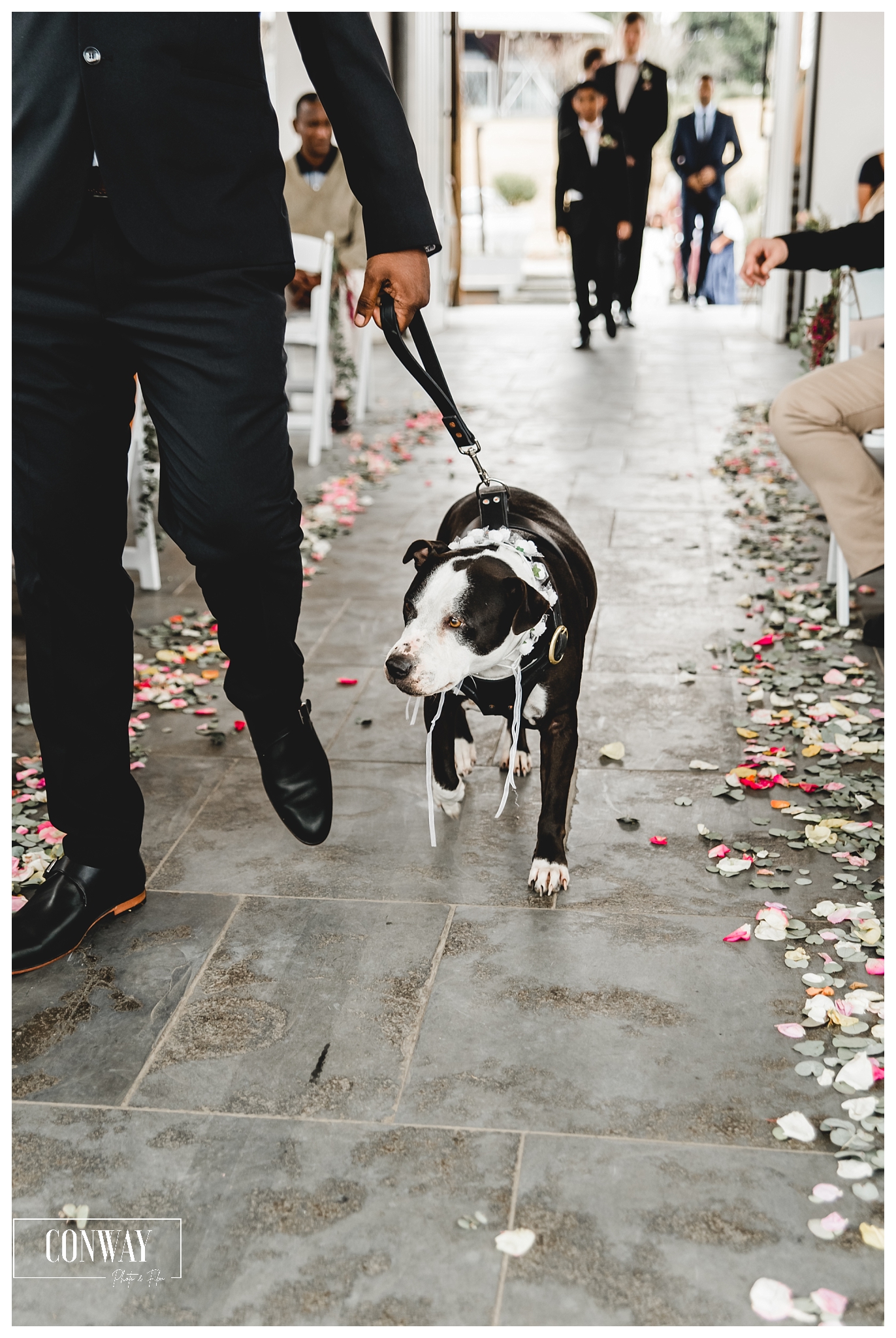 Brahman Hills wedding Nottingham Road, Lennard and Eileen 18